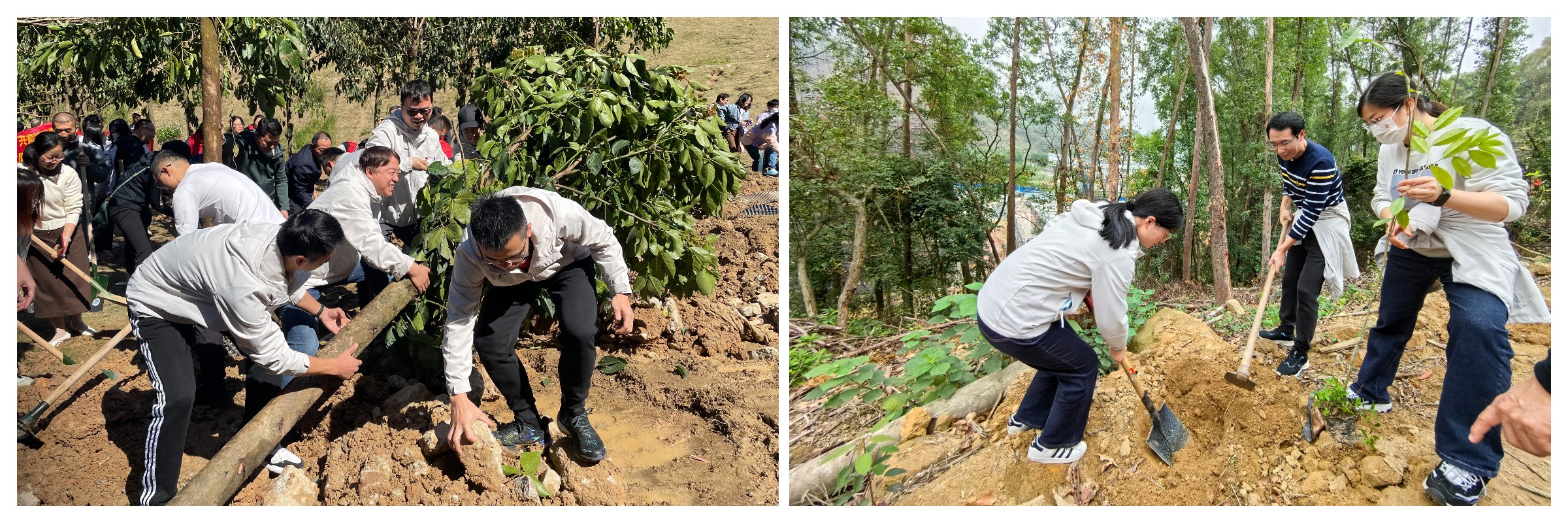 88858cc永利(Macau)有限公司官网